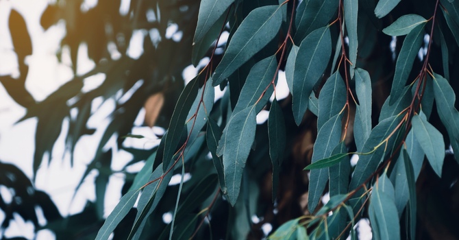 Psychotherapy & Social Work