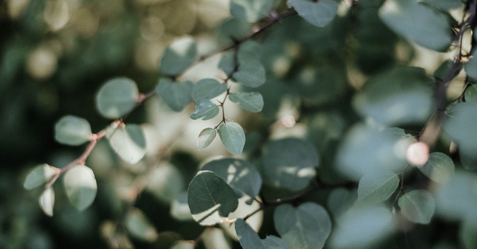 60 Minute In-Person Couples/Family Therapy